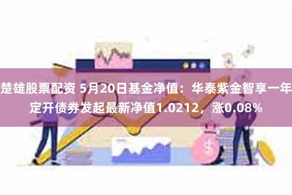 楚雄股票配资 5月20日基金净值：华泰紫金智享一年定开债券发起最新净值1.0212，涨0.08%