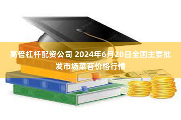 高倍杠杆配资公司 2024年6月20日全国主要批发市场菜苔价格行情