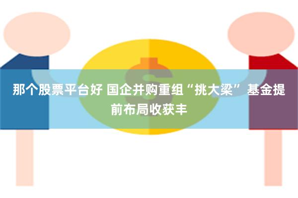 那个股票平台好 国企并购重组“挑大梁” 基金提前布局收获丰