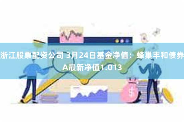 浙江股票配资公司 3月24日基金净值：蜂巢丰和债券A最新净值1.013