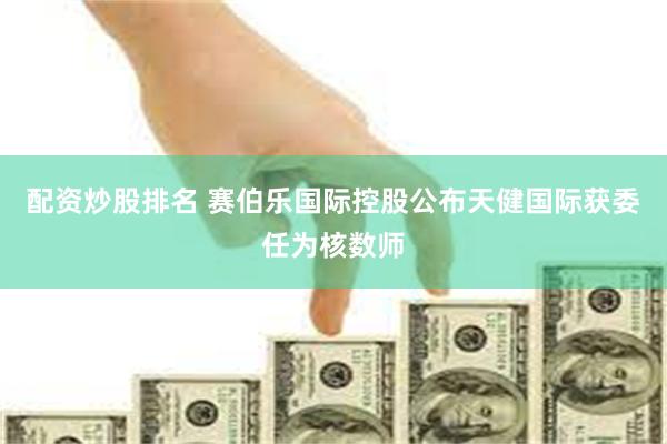 配资炒股排名 赛伯乐国际控股公布天健国际获委任为核数师