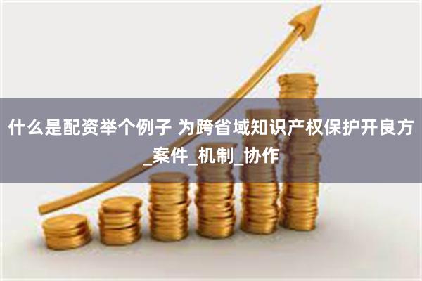 什么是配资举个例子 为跨省域知识产权保护开良方_案件_机制_协作