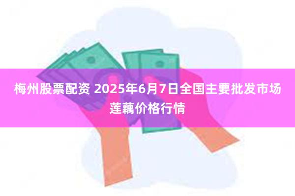 梅州股票配资 2025年6月7日全国主要批发市场莲藕价格行情