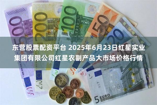 东营股票配资平台 2025年6月23日红星实业集团有限公司红星农副产品大市场价格行情